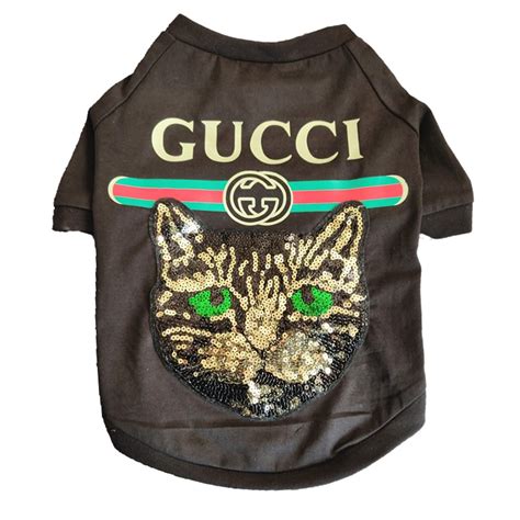 gucci pitbull|gucci designer dog clothing.